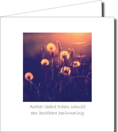 Condoleance Wenskaarten Pakket – 12 Stuks met Fotografische Afbeeldingen van Natuur en Rust (14,5 x 14,5 cm)