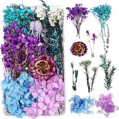 Dailygoods - Natuurlijke droogbloemen voor hars, natuurlijke droogbloemen, gedroogde bloemen, knutselen, sieraden, kaarsen, nagelkunst, knutselen, scrapbooking, bloemendecoratie (blauw en paars)