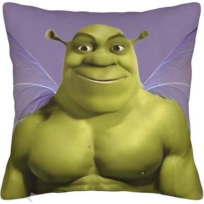 Hé Shrexy Shreks Meme Vierkante Kussenhoes Decoratieve Plaid Kussenhoes Vintage Polyester voor Bed 18 x18 30x30cm