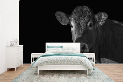 Behang - Fotobehang Koe - Dieren - Zwart - Wit - Portret - Breedte 400 cm x hoogte 240 cm