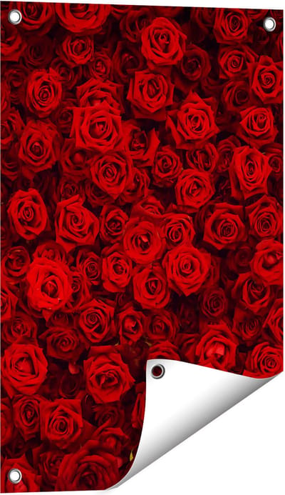 Gards Tuinposter Rode Rozen Achtergrond - 40x60 cm - Tuindoek - Tuindecoratie - Wanddecoratie buiten - Tuinschilderij