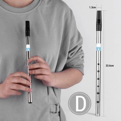 Ierse Whistle Fluit Toets D 6 Gaten Fluit Blaasinstrumenten voor Beginners Gevorderden Experts zilver