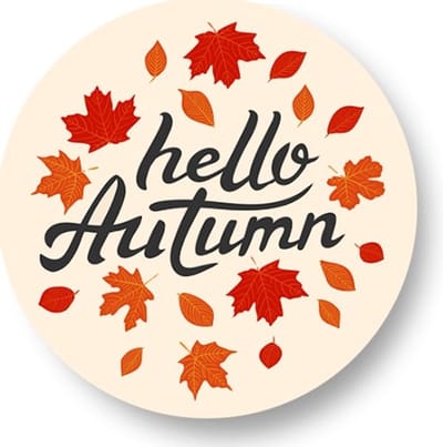 20x Hello Autumn Sluitstickers - Herfst - Hallo Herfst Sticker- Gepersonaliseerd - Sluitstickers - Uitdelen - Uitdeeltraktatie - Wensetiket - Rond - 40mm - Glossy sticker