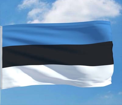 *** Grote Estland Vlag 90x150cm - Vlag Estlandse - van Heble® ***