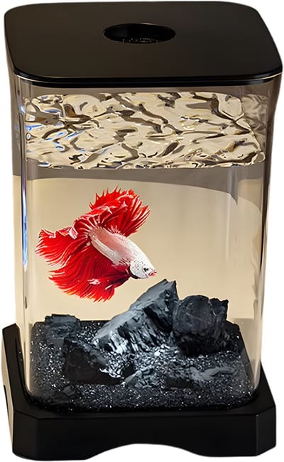 Acryl Aquarium Starterset met LED - Desktop Vissenkom - Zwart