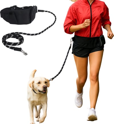 Lomera Luxe Hondenriem voor Hardlopen - Heupband - Handsfree Hondenriem - Elastische Riem - Honden tot 50kg - Schokabsorberend - Karabijnhaak Bevestiging - Samen Bewegen - Rennen met de Hond - Hardloop Hondenriem