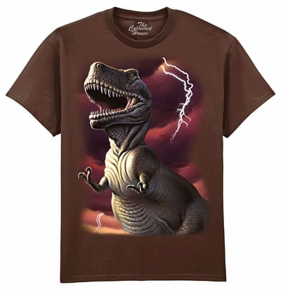 Dinosaurus Lightning Rex The Coloured House T-shirt M