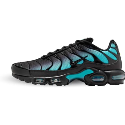 Nike Air Max Plus Black Dusty Cactus