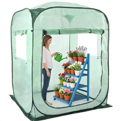 Grote pop-up kas - Voor tuinplanten en bloemen - Draagbare inloop zonnekamer - PE-afdekking met ritssluiting - Groen-143x216x195cm