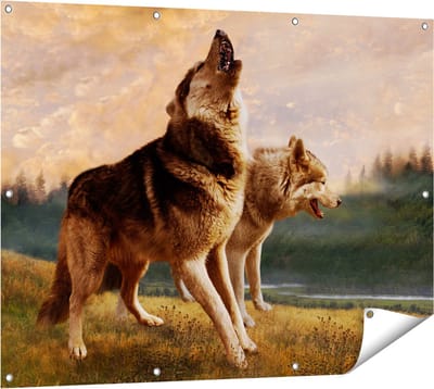 Gards Tuinposter Twee Wolven op het Gras - 120x90 cm - Tuindoek - Tuindecoratie - Wanddecoratie buiten - Tuinschilderij