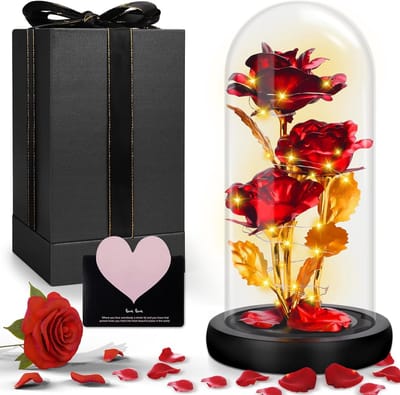 Eeuwige Glazen Roos met LED Verlichting, Sprookjes Rozen Cadeau voor Haar