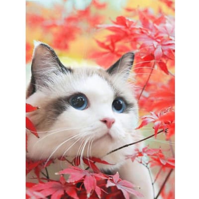 Peinture d'Art Diamant 5D Chat Sous l'Érable DIY Broderie Diamant Mosaïque Cadeau 20X30CM gray