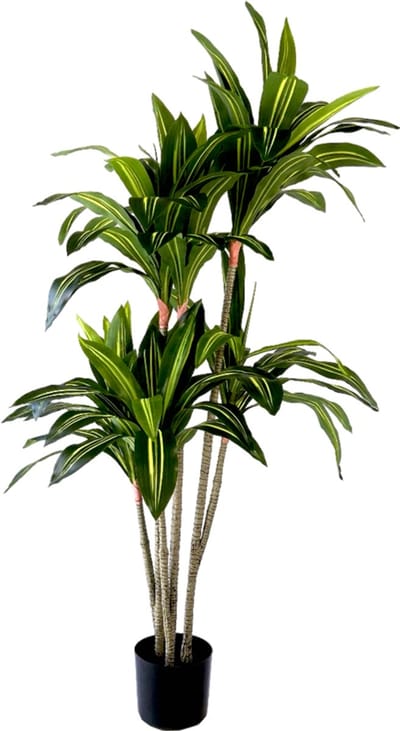 Neverleafs Kunstplant Dracaena Fragnans - 150cm