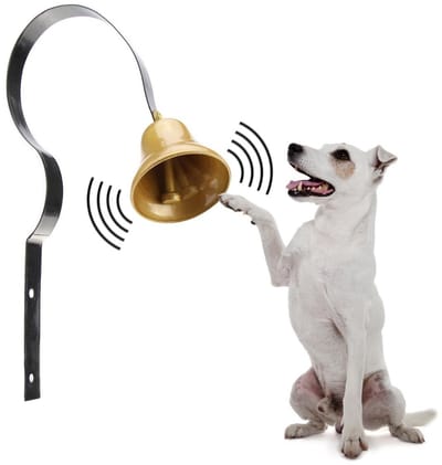 Hondenbel - Trainingsbel voor honden - Zwart metaal - Kleine messing bel - Inclusief schroeven