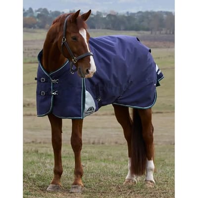 Outdoor paardendeken Weatherbeeta Comfitec Plus Dynamic 0g