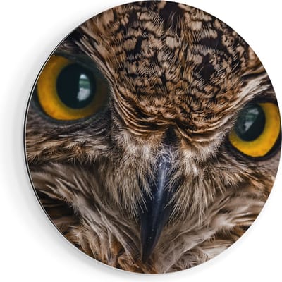 Artaza Dibond Muurcirkel Uilenkop Met Gele Ogen - Uil - Ø 40 cm - Klein - Wandcirkel - Rond Schilderij - Voor Binnen en Buiten