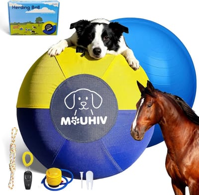 Grote Hondentrainingsbal (63 cm) - Interactief Speelgoed voor Honden en Paarden