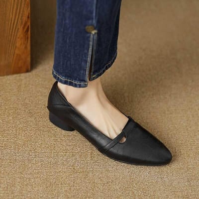 Franse Retro Schoenen met Lage Hak van Leer voor Dames Nieuwe Lente en Herfst Microvezel Puntige Neus Ondiepe Mond Enkele Schoenen voor Oma Schoenen 38