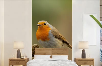 Behang - Fotobehang Vogel - Roodborstje - Dennenappel - Tak - Herfst - Breedte 120 cm x hoogte 240 cm