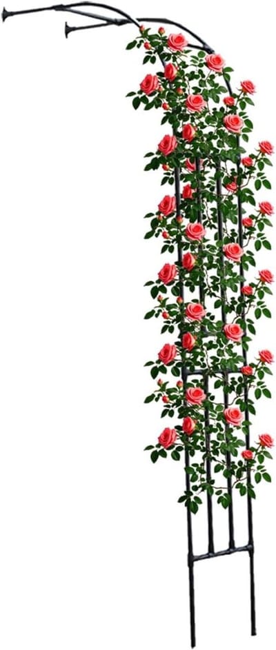 Halve tuinboog - Rozenboog klimplanten - Tuin decoreren - Ruimtebesparend ontwerp - 150x240x40cm - Zwart