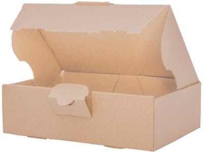 verpacking 300 maxibriefkartons 160 x 110 x 50 mm bruin MB-1 [maat en kleur naar keuze] verzenddoos vouwdoos vouwkarton maxibrief postverzending DHL-conform enkelgolf