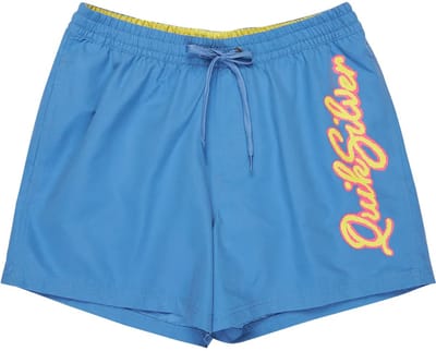 Quiksilver Everyday Malibu Volley 15´´ Zwembroek Blauw 2XL Man