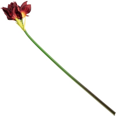 HomeBound by KY | Kunstbloem amaryllis rood | kunstbloem | kunstbloem amaryllis