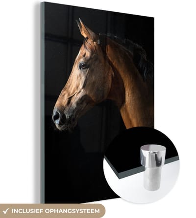 MuchoWow® Glasschilderij 120x160 cm - Schilderij acrylglas - Paard - Dieren - Nacht - Zwart - Foto op glas - Schilderijen