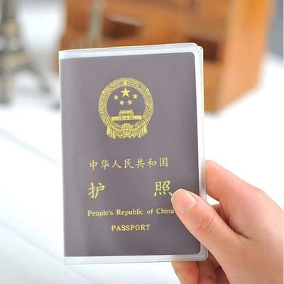 Bescherming hoesje Paspoort Mat ( 2 stuks ) met vakjes / Mat Paspoorthoes / Paspoort Protector / Paspoort cover Reispas.