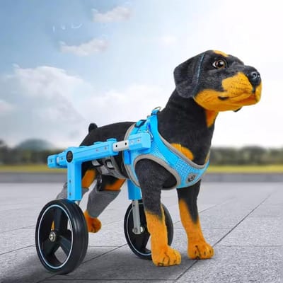 Hondenrolstoel - Huisdier mobiliteit - Ondersteuning achterpoten - Verstelbaar lichtgewicht frame - 2 wielen