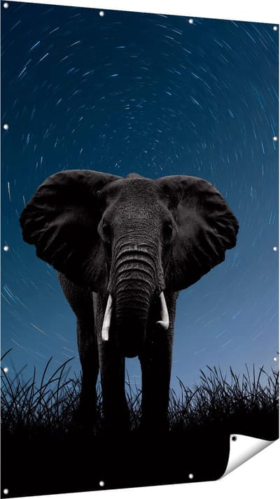 Gards Tuinposter Olifant Omringd met Sterren - 120x180 cm - Tuindoek - Tuindecoratie - Wanddecoratie buiten - Tuinschilderij