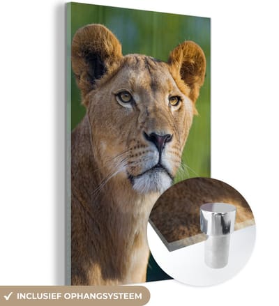 MuchoWow® Glasschilderij 40x60 cm - Schilderij acrylglas - Portret - Leeuw - Wild - Foto op glas - Schilderijen