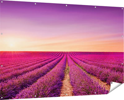Gards Tuinposter Paarse Lavendel Bloemenveld - 180x120 cm - Tuindoek - Tuindecoratie - Wanddecoratie buiten - Tuinschilderij