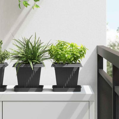 vidaXL - Vierkante - Bloempot - 24 - st - Zwart - 16 - x - 16 - x - 14 - cm - Kunststof