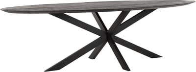 DTP Home Timeless Black eettafel ovaal teakhout – 280x120x78 cm