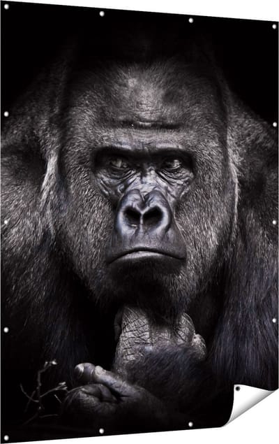 Gards Tuinposter Gorilla - Zwart Wit - 120x160 cm - Tuindoek - Tuindecoratie - Wanddecoratie buiten - Tuinschilderij
