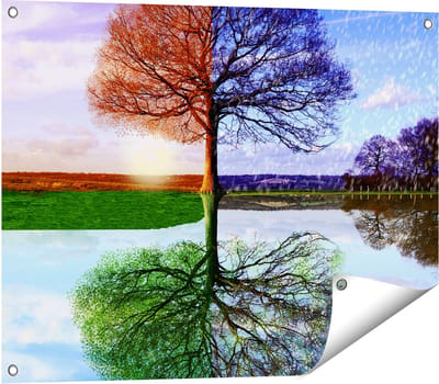 Gards Tuinposter Vier Seizoenen Boom - 80x60 cm - Tuindoek - Tuindecoratie - Wanddecoratie buiten - Tuinschilderij