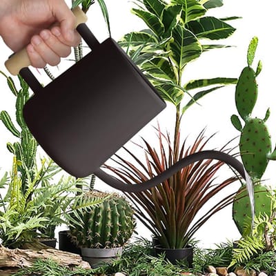 Gieter Roestvrij Staal - Waterfles Kamerplant - Planten Verzorgen - Lange Precisie Tuit - 1 Liter - Zilver