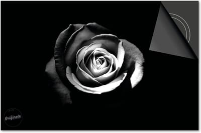Inductie Beschermer Zwart Roos print Exclusief 90x52cm