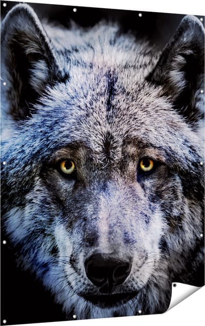 Gards Tuinposter Grijze Wolvenkop - Wolf - 120x160 cm - Tuindoek - Tuindecoratie - Wanddecoratie buiten - Tuinschilderij