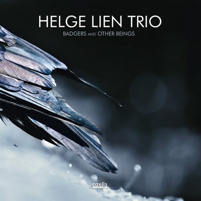 Helge Lien Trio - Badgers And Other Beings (CD)