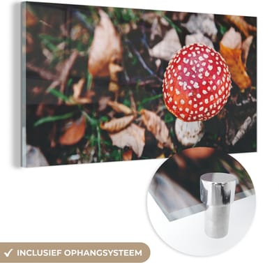 MuchoWow® Glasschilderij 40x20 cm - Schilderij acrylglas - Herfst - Paddenstoel - Bladeren - Natuur - Foto op glas - Schilderijen