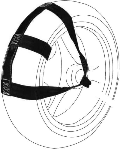 Motor Wiel Spanband - Transport Strap - Voertuig Vervoer - Hoge Treksterkte - 1000 kg Werkend - Zwart