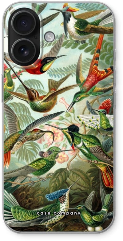 Case Company® - Hoesje geschikt voor iPhone 16 hoesje - Haeckel Trochilidae - Soft Cover Telefoonhoesje - Bescherming aan alle Kanten en Schermrand