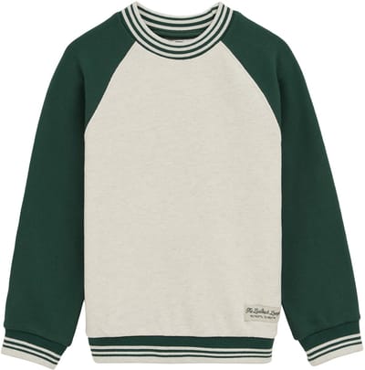 WE Fashion Jongens sweater met colourblock en print