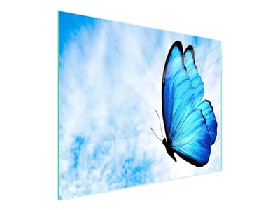 TMK ArtDeko - Glazen Snijplank - Motief - 52x30 cm - Gehard Glas