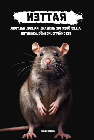 Ratten: alles über Auswahl, Haltung, Pflege, Beschäftigungsmöglichkeiten