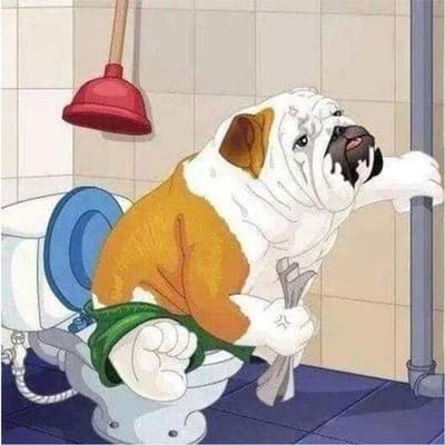 DIY Diamant Schilderen Kruissteek Diamant 5D Diamant Borduren Bulldog op Toilet Strass Mozaïek Home Decor 30X30CM orange