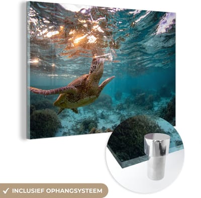 MuchoWow® Glasschilderij 120x80 cm - Schilderij acrylglas - Zee - Schildpad - Kleuren - Foto op glas - Muurdecoratie woonkamer - Wanddecoratie slaapkamer - Schilderijen