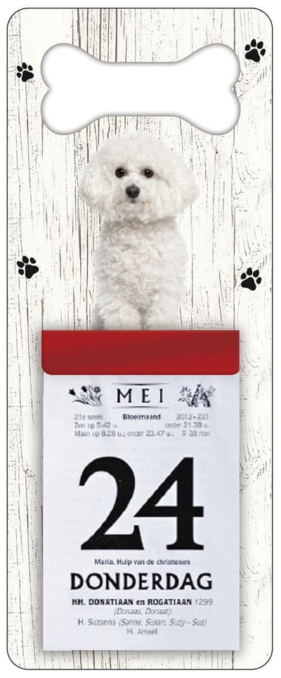 Scheurkalender 2027 Hond: Bichon Frisé